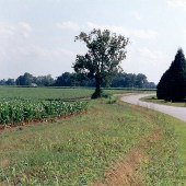 FD Walker Farms