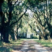 Coosaw Plantation