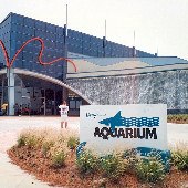 Ripley's Aquarium of Myrtle Beach
