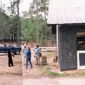 Cox Horse Stables