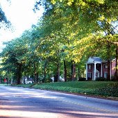 Boulevard Avenue
