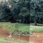 Kirkwood Common