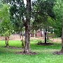 Glencairn Gardens