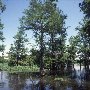 Santee Cooper