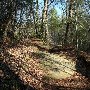 Caesars Head State Park - Wildcat Branch Falls