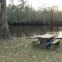 Mallard Edisto River House