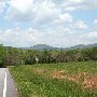 North Tigerville Road