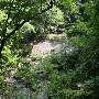 Twin Falls (aka Reedy Cove Falls)
