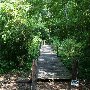Fernwood Trail