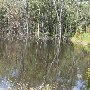 Mansfield Plantation Water