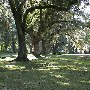 Boone Hall Plantation (November Looks)