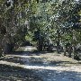Hampton Plantation State Park