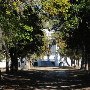 Hampton Plantation State Park
