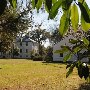 Hampton Plantation State Park