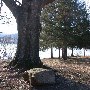 Chester State Park