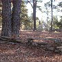 Chester State Park