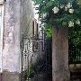 Charleston - General Overview