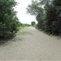 Sullivan's Island - Station 21 Path & Beach - Low Tide