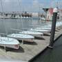 College of Charleston - Sailing Club