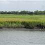 Creek @ Mithoefer Dock House (Sul Isl) in August