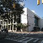 College of Charleston - Coming St., Calhoun to Bull