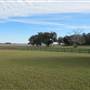 Ashe Point Farm - December Look 2011