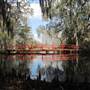 Magnolia Plantation & Gardens FEBRUARY - Red Bridge