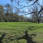 Boone Hall Plantation - Field at Front Entry - MARCH