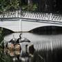 Magnolia Plantation & Gardens MAY (2012 & 2014) - The White Bridge