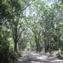 Botany Bay - Botany Bay Road