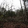 Caesars Head State Park - Wildcat Branch Falls