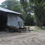 Hamlin Farm - Packing Shed