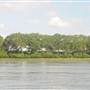Cooper River - State Ports to Bushy Park