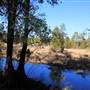 Halidon Hill - Rice Fields-Fields-swamps #12 Laneau Rice Field