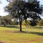 Longwood Plantation - Pasture, Pond, Punkin Hill, Rice Fields
