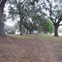 McLeod Plantation - Grounds
