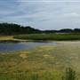 Gibson Creek
