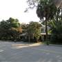Calhoun St - Green to Lawrence Streets