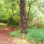 Landsford Canal State Park