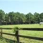 Walnut Hill - Horse Pastures