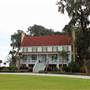 Red Bluff Plantation - 2015