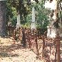 Magnolia Cemetery