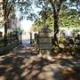 Charleston Waterfront Park - Nov 18 2016