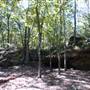 Peachtree Rock