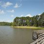 Chester State Park