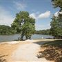 Chester State Park
