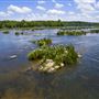Landsford Canal State Park