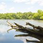 Landsford Canal State Park