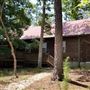 Sand Dollar Court - House #2