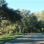 Daniel Island - Island Park Drive 1